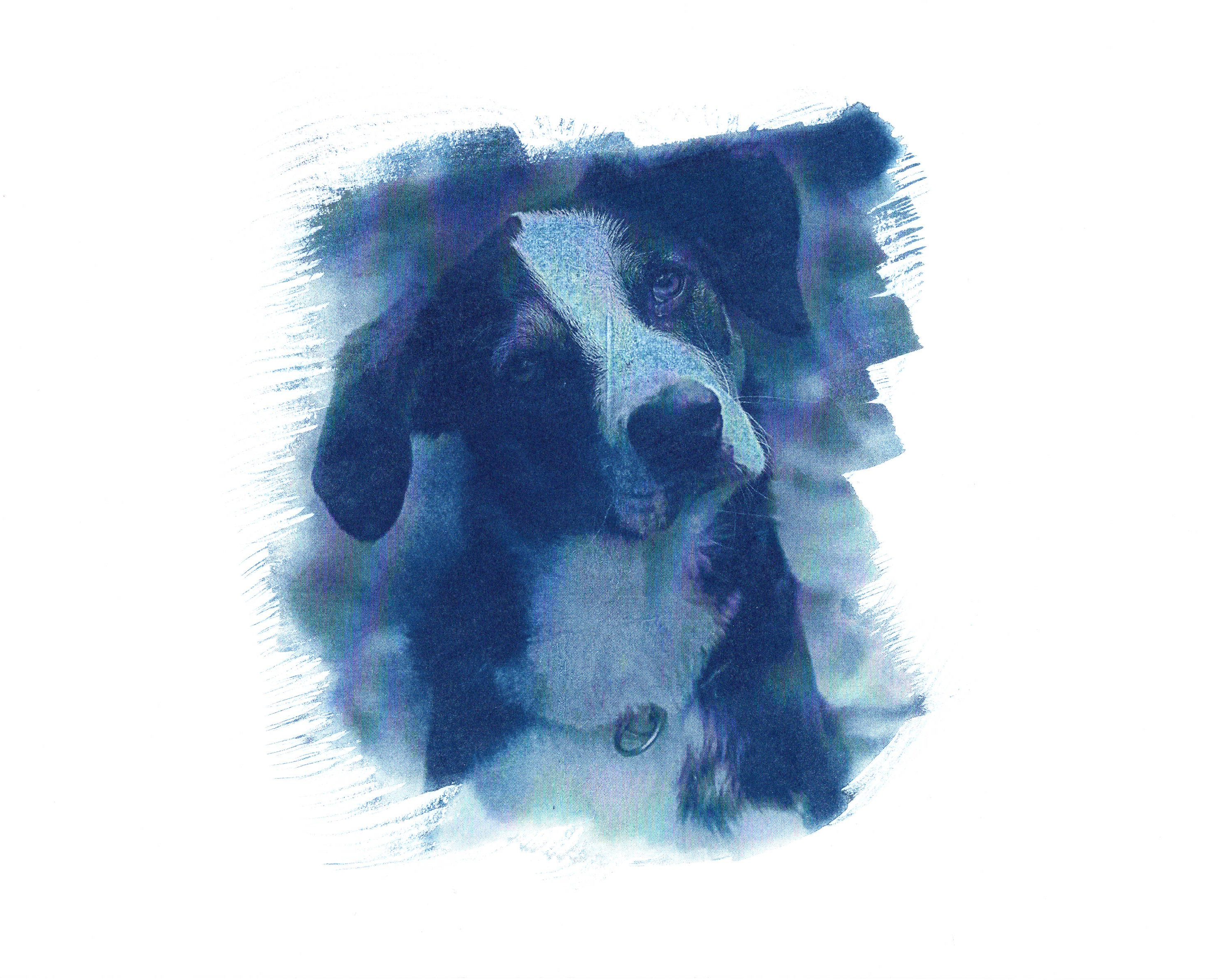 Izao cyanotype portrait