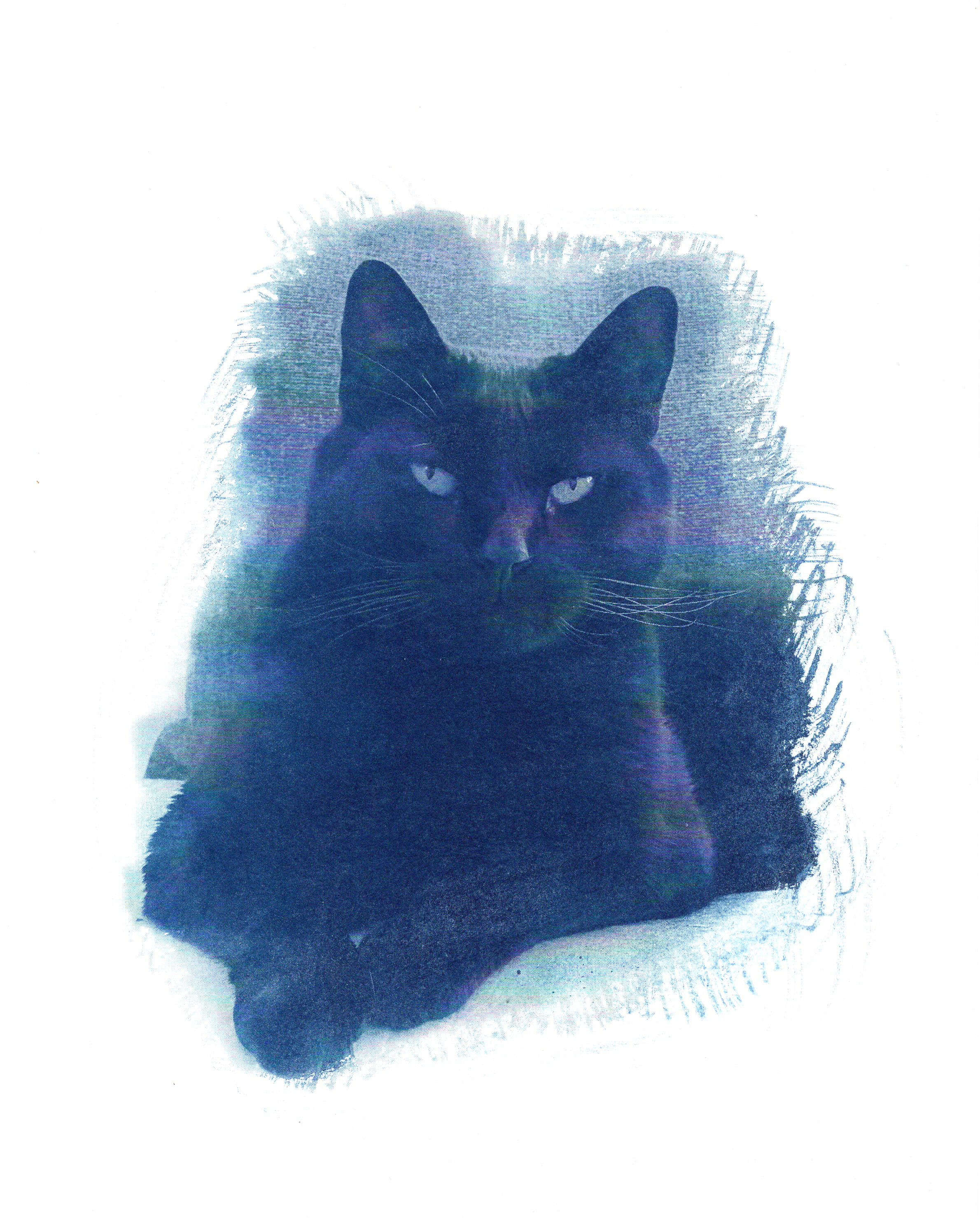 Mephisto cyanotype portrait